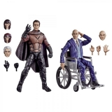 Marvel Legends Series Magneto and Professor X Action Figures by Hasbro (20th Anniversary)