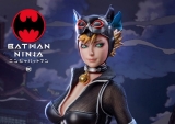 The New Star Ace Catwoman Figure Available for Pre-Order